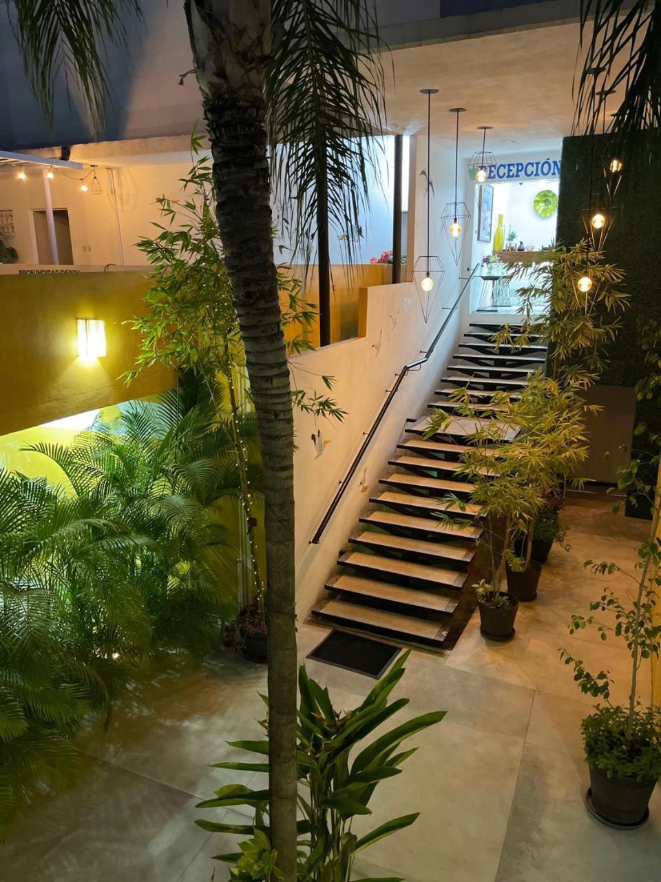 Hotel Boutique Ixaya 巴亞爾塔港 外观 照片